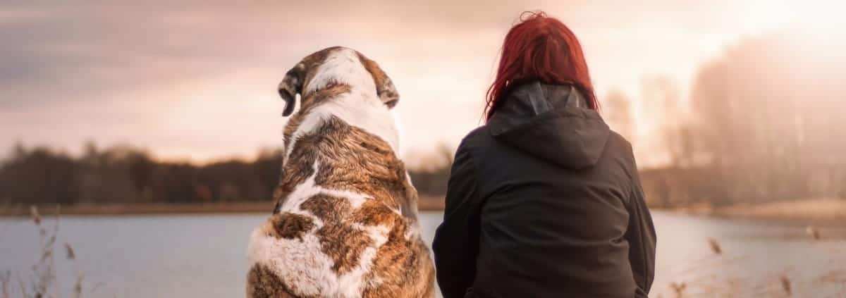 Best Tent For Dog Owners