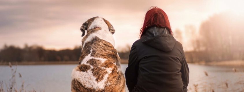 Best Tent For Dog Owners