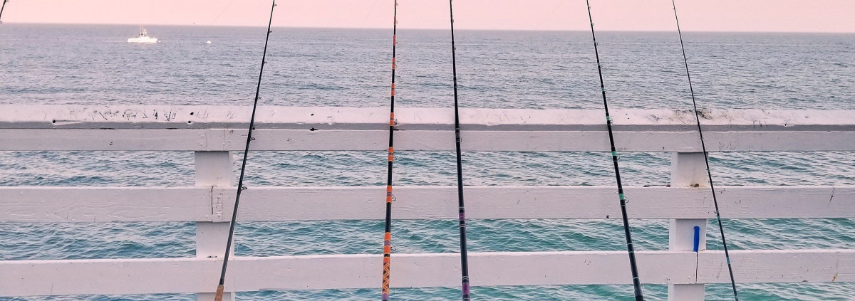 Best Rod For Jig Fishing