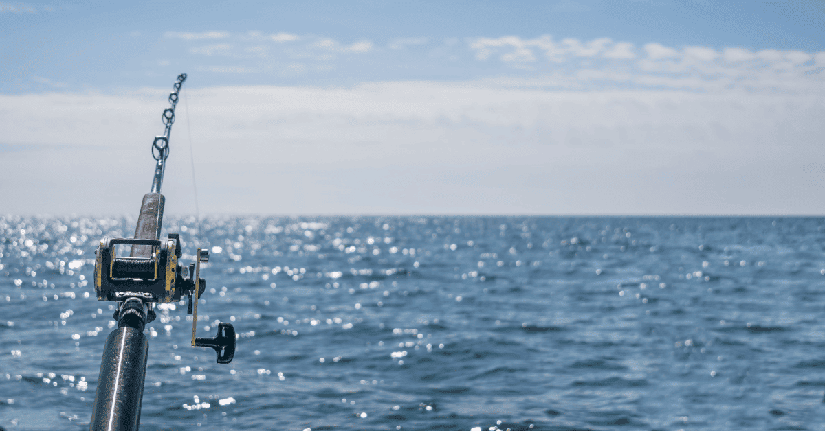 How To Set Up A Fishing Pole A Comprehensive Guide Outdoor Intensity