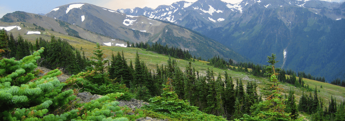 Olympic National Park