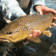 The Complete Trout Fishing Guide